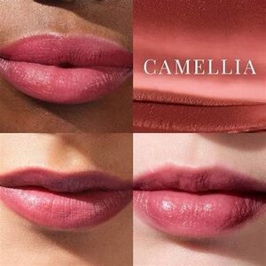 Tatcha Camellia The Kissu Lip Tint- spf 25, hydrating, semi-sheer, red pink tone